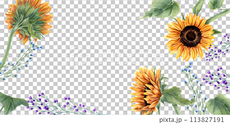 Sunflowers and abstract wild plants. Blue, orange yellow flowers. Floral summer composition with copy space for text. Watercolor illustration for wedding templates, birthday greetings. 113827191