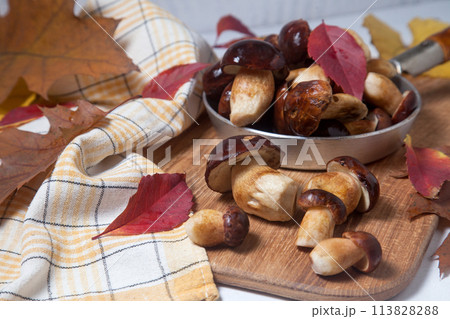 Several Imleria Badia or Boletus badius mushrooms commonly known as the bay bolete and vintage pan with mushrooms on wooden cutting board.. 113828288