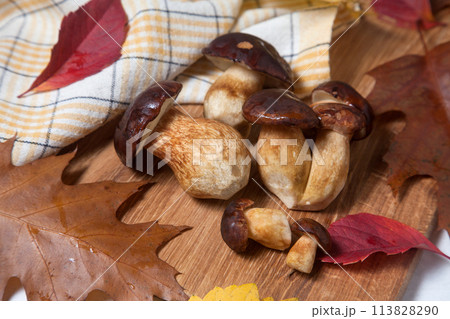 Several Imleria Badia or Boletus badius mushrooms commonly known as the bay bolete on wooden cutting board.. 113828290