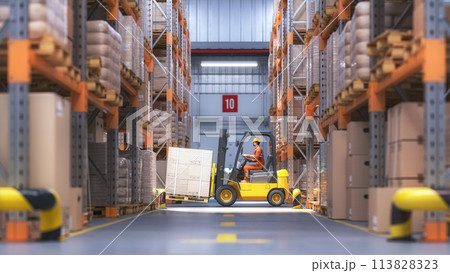 Retail warehouse full of shelves with cardboard boxes and packages. Logistics, storage, and delivery industrial background. Retail warehouse full of shelves with cardboard boxes and packages. Logistics, storage, and delivery industrial background. 113828323