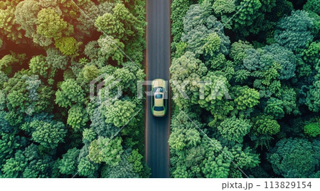 Car Driving Down Road Surrounded by Trees 113829154