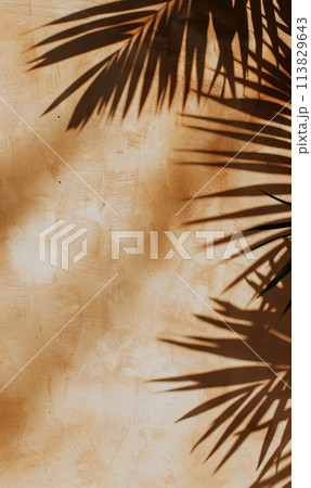 Palm Tree Shadow on Wall Palm Tree Shadow on Wall 113829643