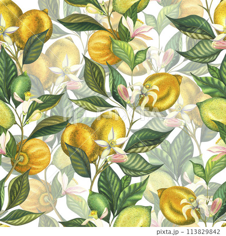 Watercolor seamless pattern with blooming lemons and lime branch with leaves, pink flowers and green lemon. Hand painted yellow fruits and flower isolated on white background. Fresh citrus 113829842