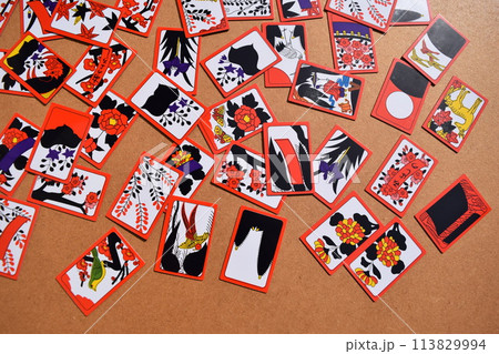 花札 絵札 カードゲーム 花札 絵札 カードゲーム 113829994