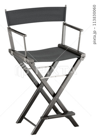 Directors chair, 3D rendering 113830060