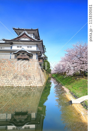 【石川県】晴天の金沢城 菱櫓と満開の桜 113830081