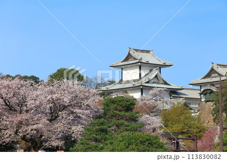 【石川県】晴天の金沢城 石川門と満開の桜 113830082