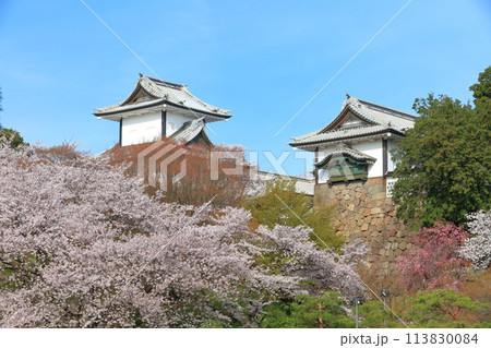 【石川県】晴天の金沢城 石川門と満開の桜 113830084