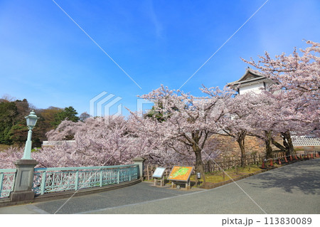 【石川県】晴天の金沢城 石川門と満開の桜 113830089
