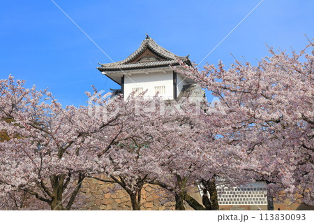 【石川県】晴天の金沢城 石川門と満開の桜 113830093