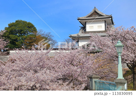 【石川県】晴天の金沢城 石川門と満開の桜 113830095