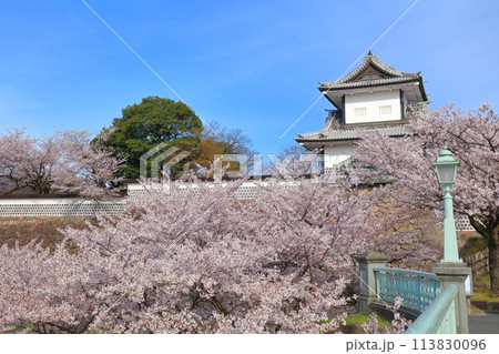 【石川県】晴天の金沢城 石川門と満開の桜 113830096