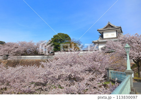 【石川県】晴天の金沢城 石川門と満開の桜 113830097