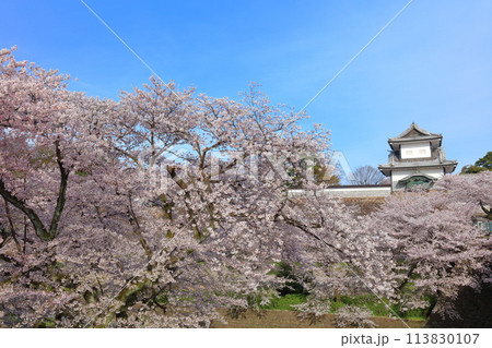 【石川県】晴天の金沢城 石川門と満開の桜 113830107