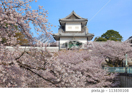【石川県】晴天の金沢城 石川門と満開の桜 【石川県】晴天の金沢城 石川門と満開の桜 113830108