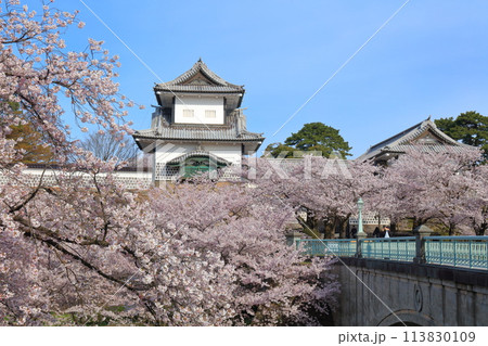 【石川県】晴天の金沢城 石川門と満開の桜 113830109