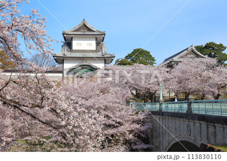 【石川県】晴天の金沢城 石川門と満開の桜 【石川県】晴天の金沢城 石川門と満開の桜 113830110