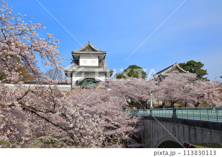 【石川県】晴天の金沢城 石川門と満開の桜 【石川県】晴天の金沢城 石川門と満開の桜 113830113