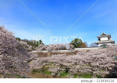【石川県】晴天の金沢城 石川門と満開の桜 【石川県】晴天の金沢城 石川門と満開の桜 113830118