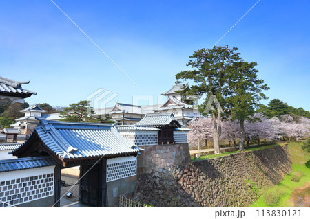 【石川県】晴天の金沢城 河北門と菱櫓と満開の桜 113830121