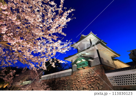 【石川県】金沢城 石川門の満開の夜桜 113830123