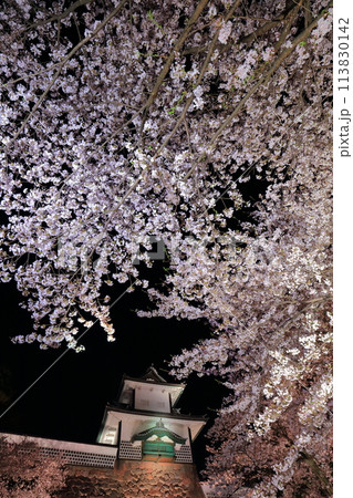 【石川県】金沢城 石川門の満開の夜桜 【石川県】金沢城 石川門の満開の夜桜 113830142