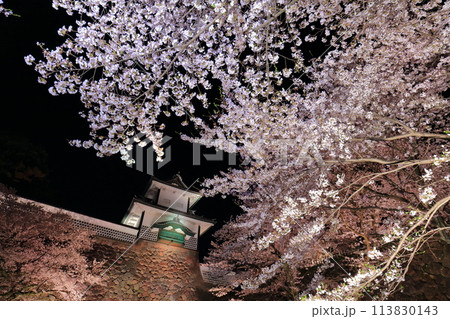 【石川県】金沢城 石川門の満開の夜桜 【石川県】金沢城 石川門の満開の夜桜 113830143