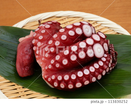 蒸しダコ　刺身用 113830252