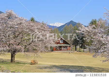桜咲く春の安曇野ちひろ公園 桜咲く春の安曇野ちひろ公園 113831510