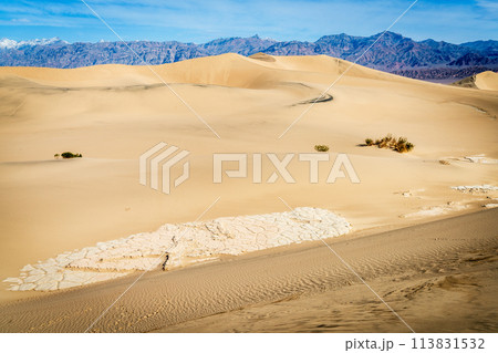 Mesquite Flat Sand Dunes 113831532
