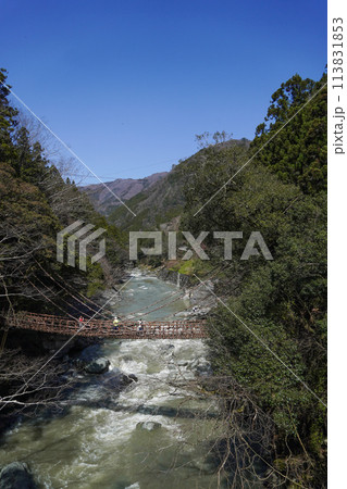 祖谷のかずら橋 祖谷のかずら橋 113831853