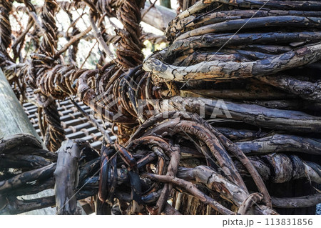 祖谷のかずら橋 113831856