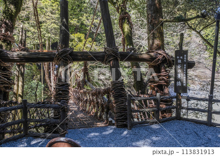 祖谷のかずら橋 113831913