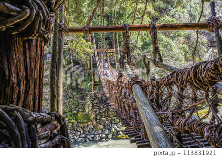 祖谷のかずら橋 113831921