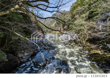 祖谷のかずら橋 113831923
