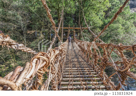 祖谷のかずら橋 113831924