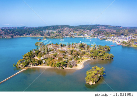 桜が咲く福浦島(宮城県松島町) 桜が咲く福浦島(宮城県松島町) 113831993