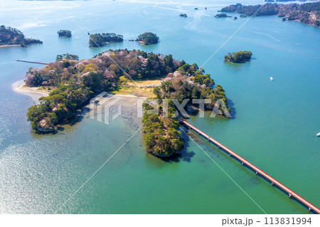 桜が咲く福浦島（宮城県松島町） 113831994