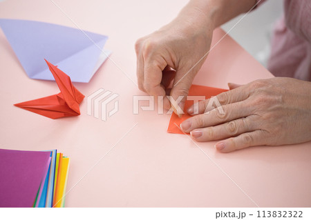 折り紙を折るミドル女性の手元 113832322