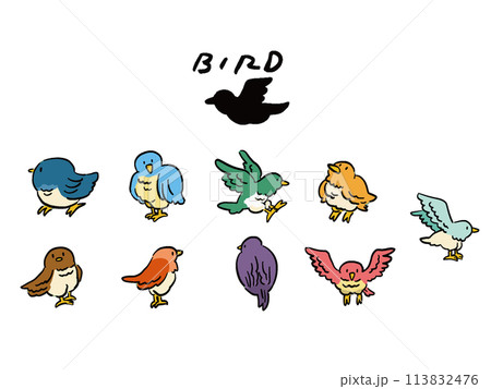 いろいろな鳥の手描き風イラストセットのイラスト素材 [113832476] - PIXTA