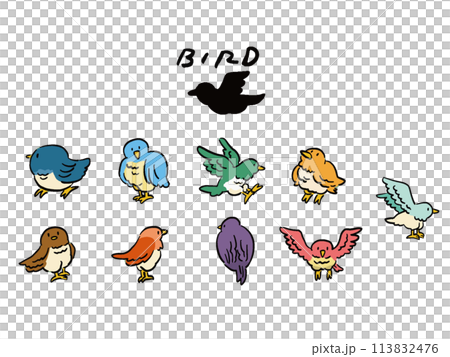 各種鳥類的手繪風格插圖集 113832476