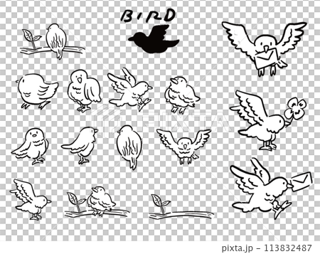 手繪風格線條畫各種鳥類插圖集 手繪風格線條畫各種鳥類插圖集 113832487