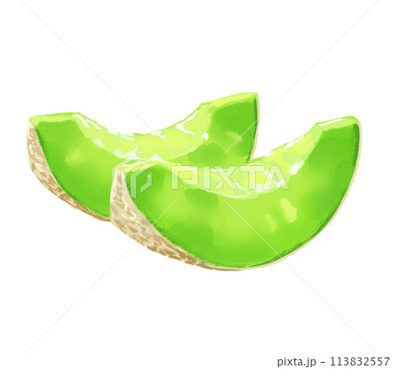 カットされた新鮮なメロン 113832557