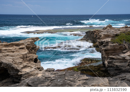ロットネスト島　岬からの絶景 113832590