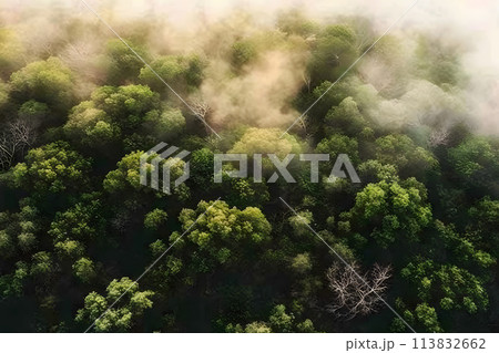 Misty foggy mountain landscape with fir forest and copyspace in vintage retro hipster style. Neural network AI generated art 113832662