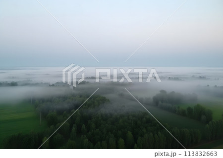 Misty foggy mountain landscape with fir forest and copyspace in vintage retro hipster style. Neural network AI generated art Misty foggy mountain landscape with fir forest and copyspace in vintage retro hipster style. Neural network AI generated art 113832663
