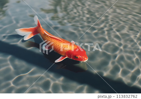 fish swim underwater. Neural network AI generated art fish swim underwater. Neural network AI generated art 113832762