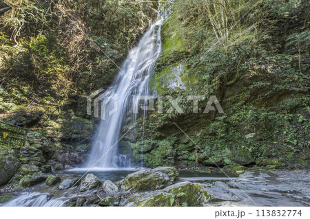 祖谷のかずら橋近くにある「琵琶の滝」 祖谷のかずら橋近くにある「琵琶の滝」 113832774