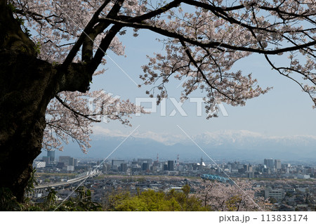 木のシルエットが額縁満開の桜春霞の北アルプス薬師岳と富山市街地と走る北陸新幹線の列車 木のシルエットが額縁満開の桜春霞の北アルプス薬師岳と富山市街地と走る北陸新幹線の列車 113833174