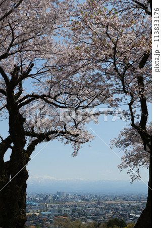 木のシルエットが額縁満開の桜春霞のアルプス立山連峰と神通大橋 木のシルエットが額縁満開の桜春霞のアルプス立山連峰と神通大橋 113833176